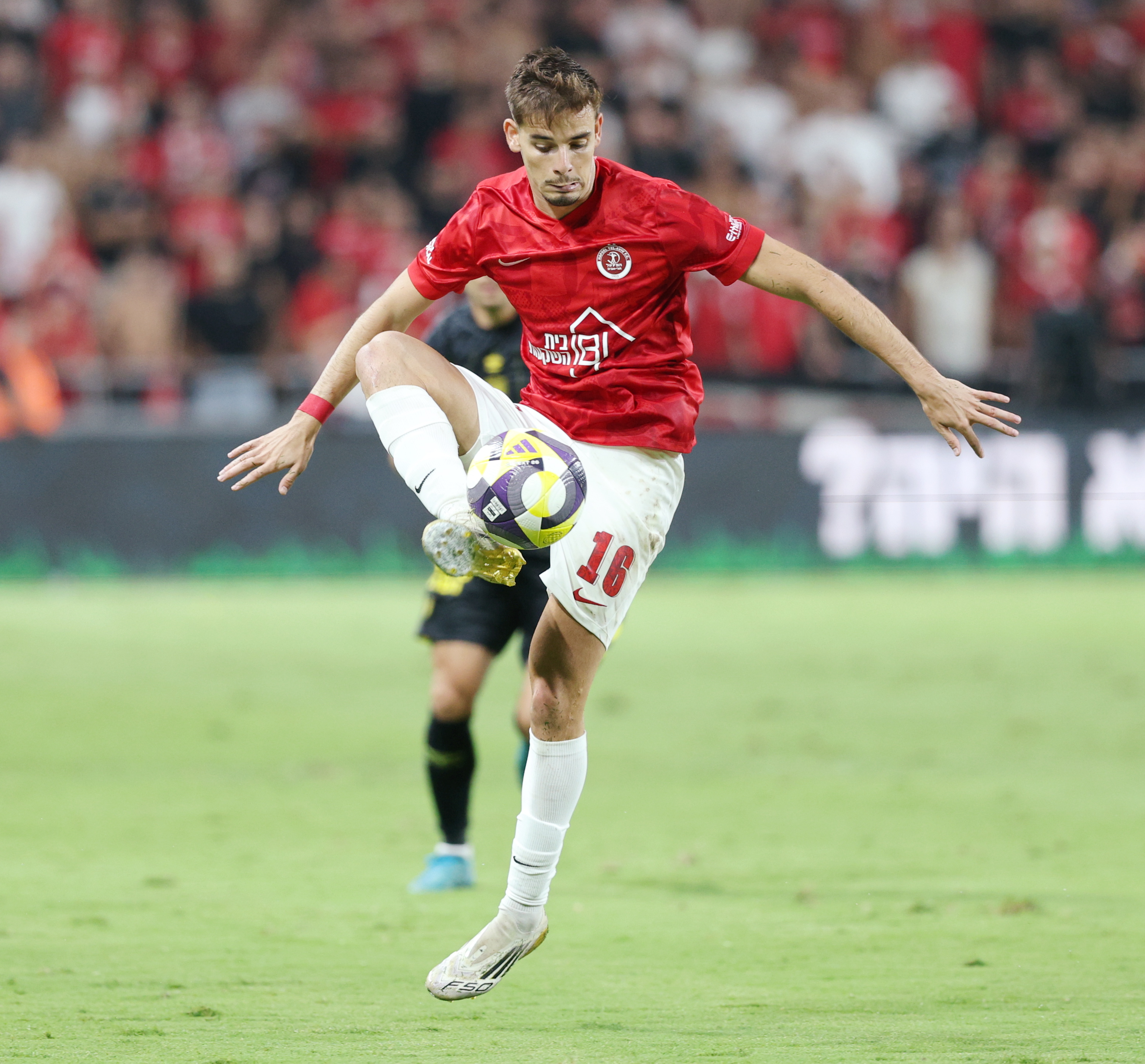 הפועל תל אביב מתמודדת עם הכאב ומקווה לצמוח לקראת המפגש מול באר שבע