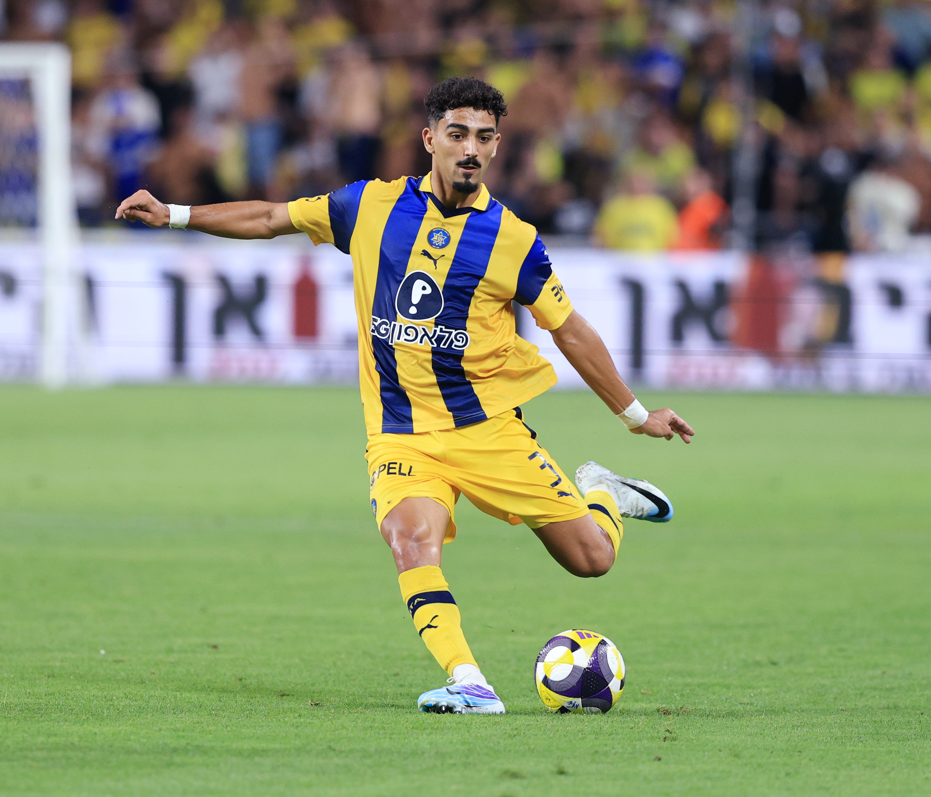 הפועל תל אביב מלקקת את הפצעים: בניה מחדש לאחר הדחה כואבת בגביע