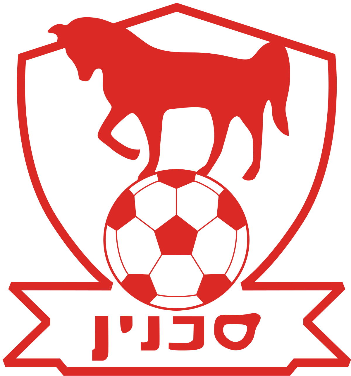 חיזוק בין הקורות: בני סכנין החתימה את השוער הרומני ראול בלבראו